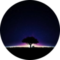 JAMES Avatar